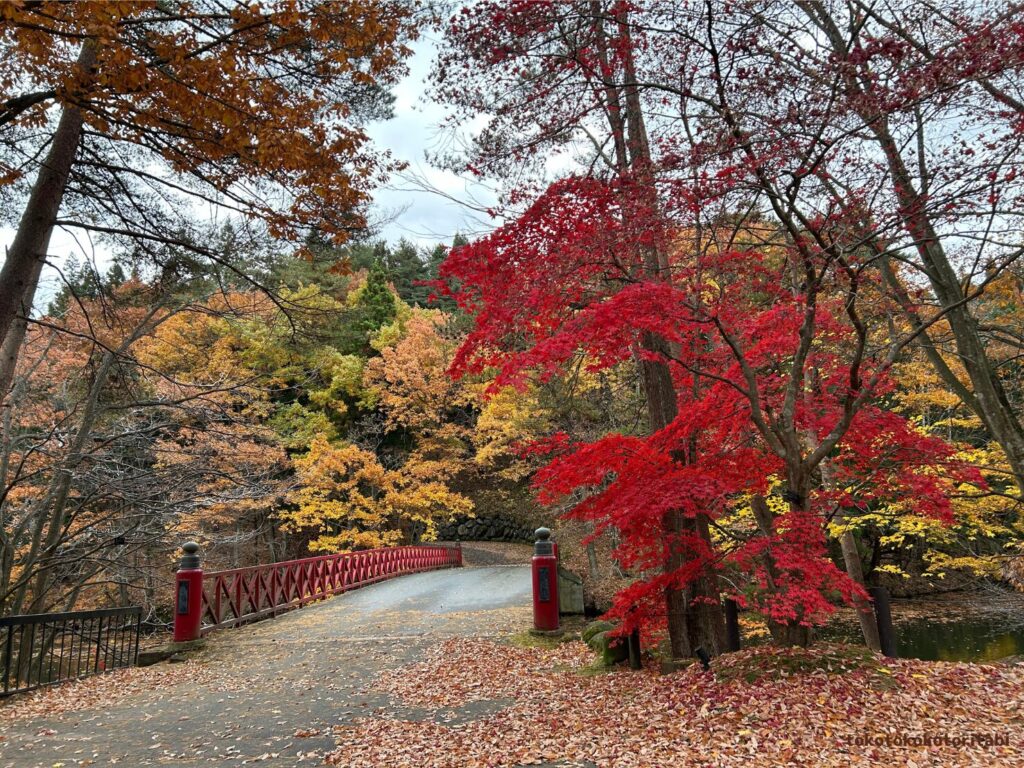 楓林橋