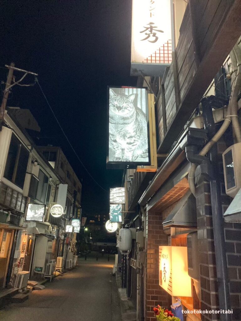 夜の新天地商店街