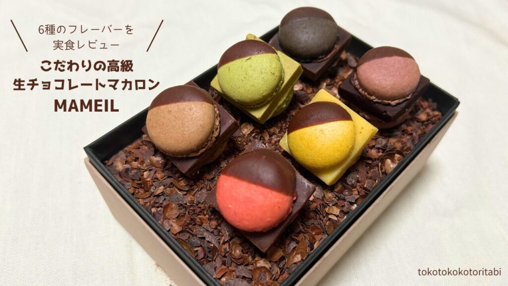 ホワイトデーにおすすめ!【マメイル】6種の生チョコマカロンを実食レビュー | とことこことり旅