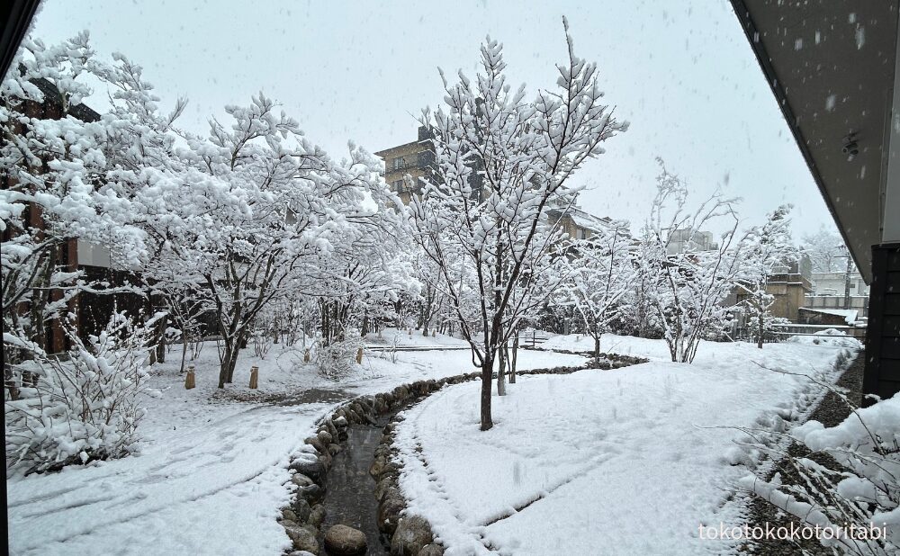 雪の中庭