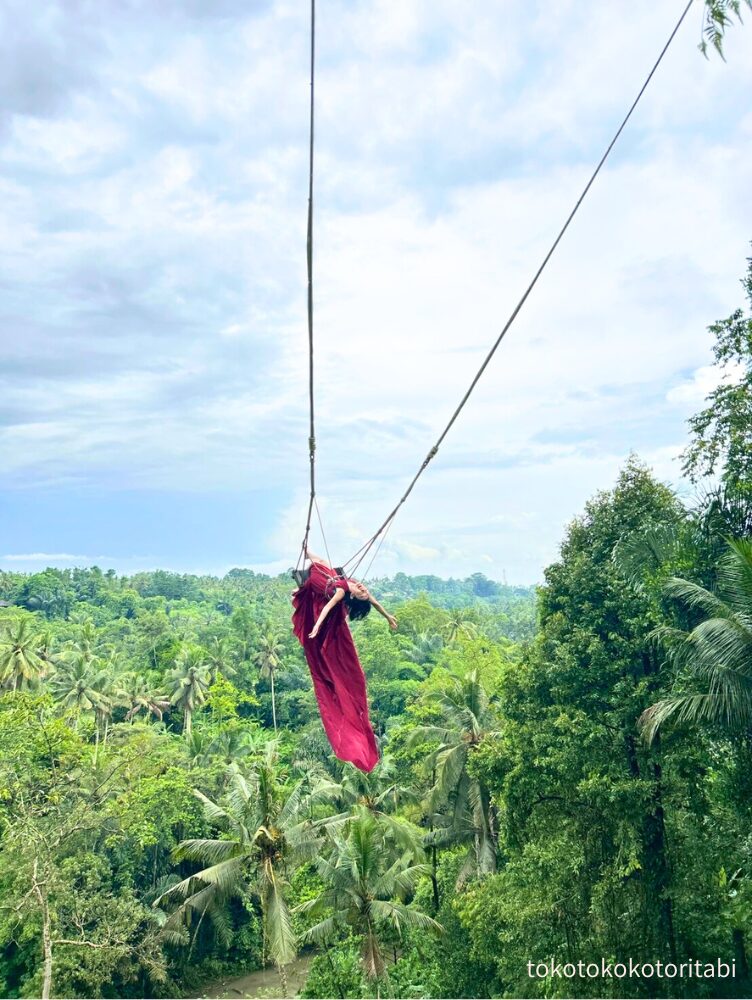 SINGLE SWING