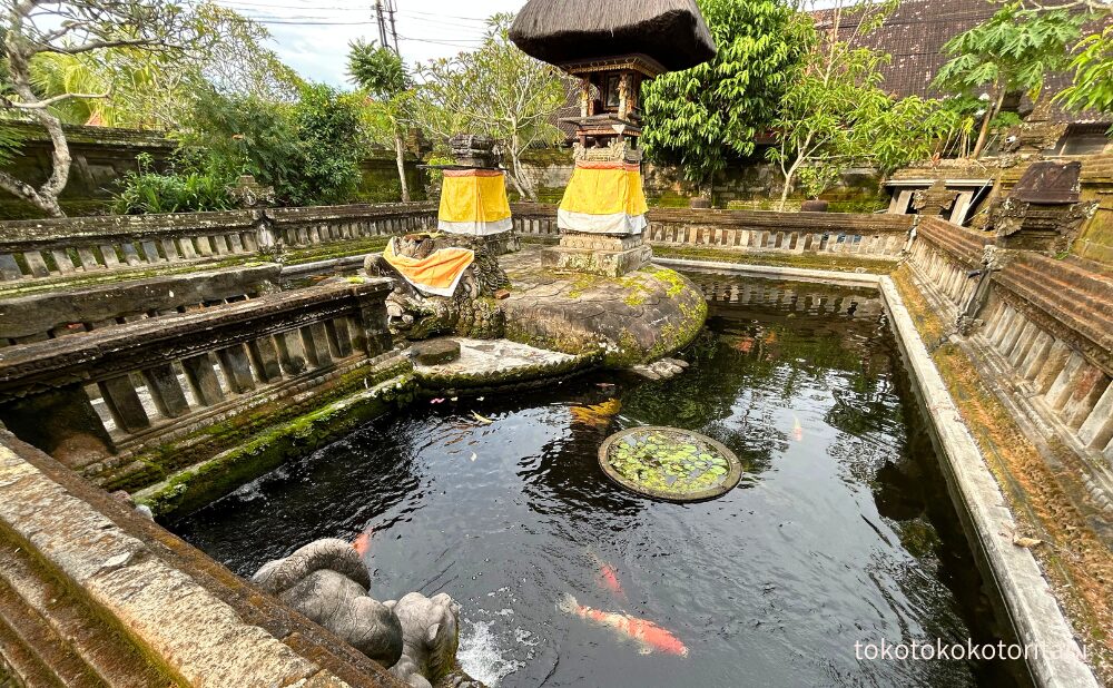 鯉の泳ぐ池