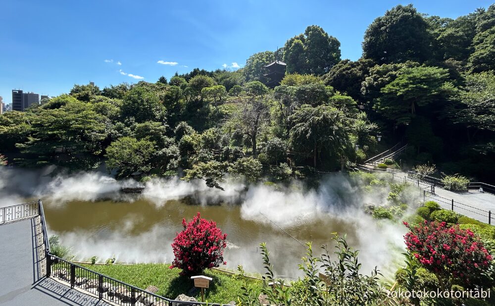 雲海