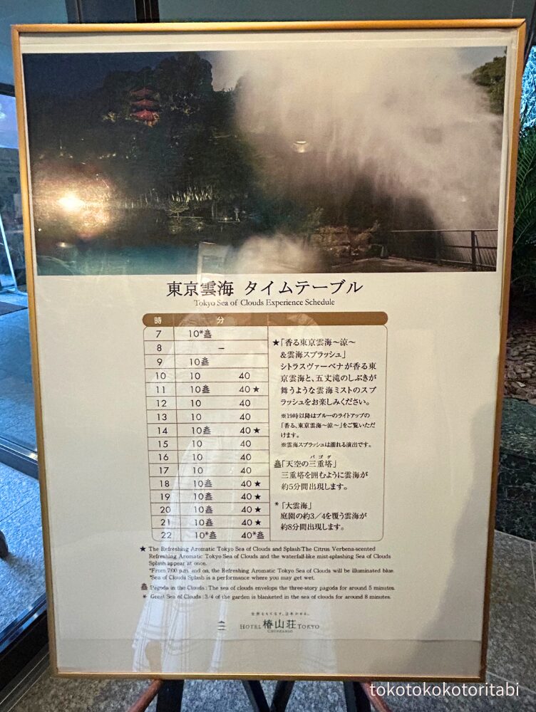 東京雲海タイムスケジュール