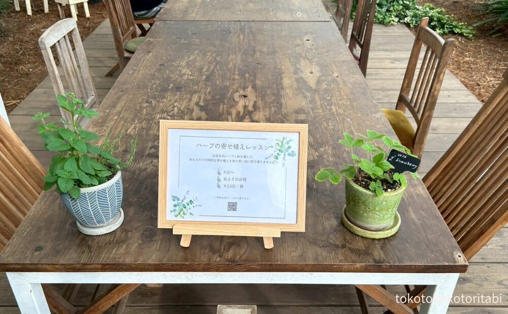 ハーブの寄せ植えレッスン