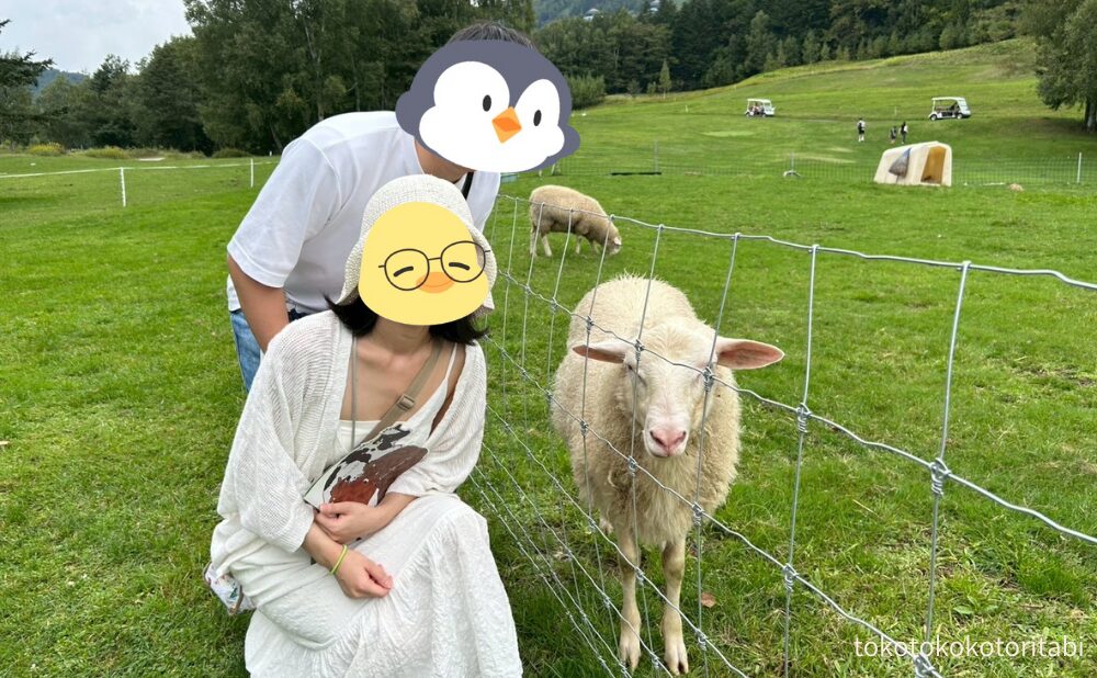 羊さんと