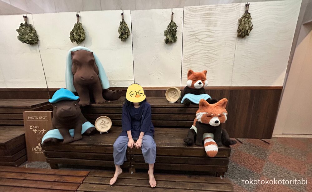 カバとレッサーパンダと