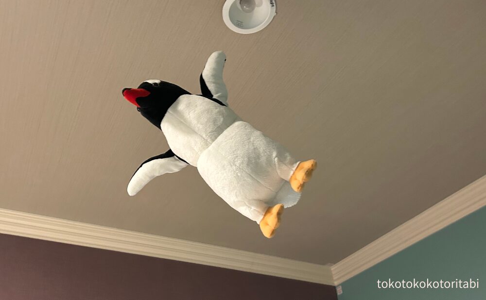 頭上のペンギン１