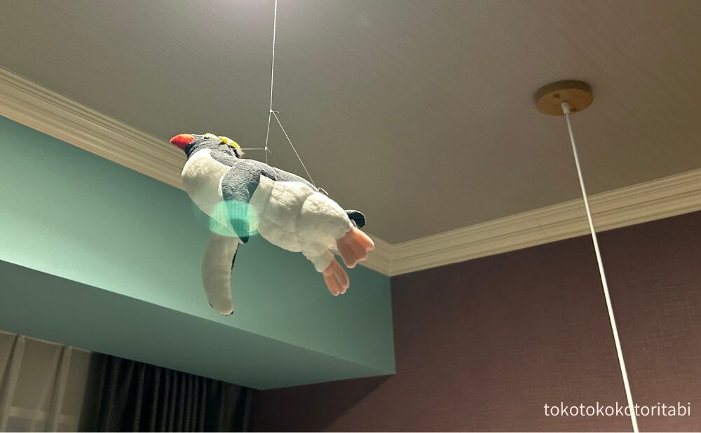 頭上のペンギン２