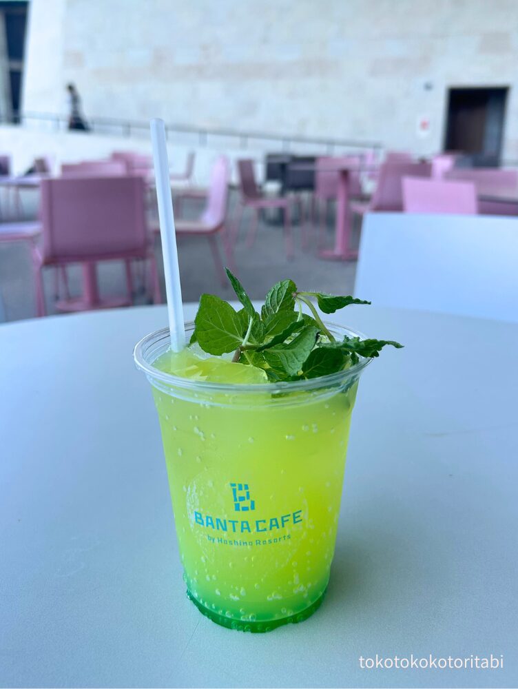 シークヮーサーネード