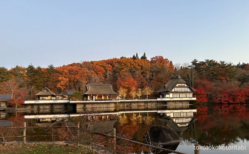 紅葉の公園