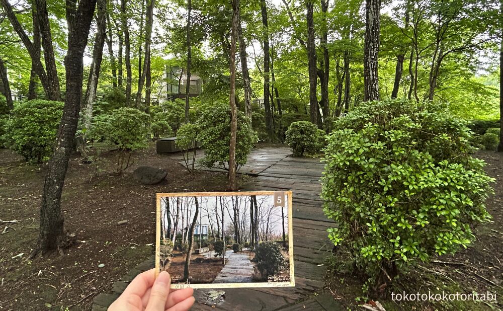 写真と散策