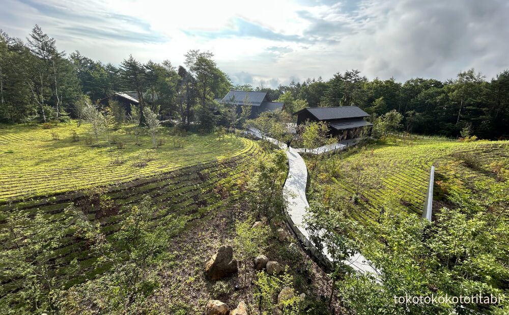 ３階レセプション前からの景色