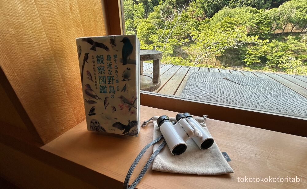 野鳥観察図鑑/双眼鏡
